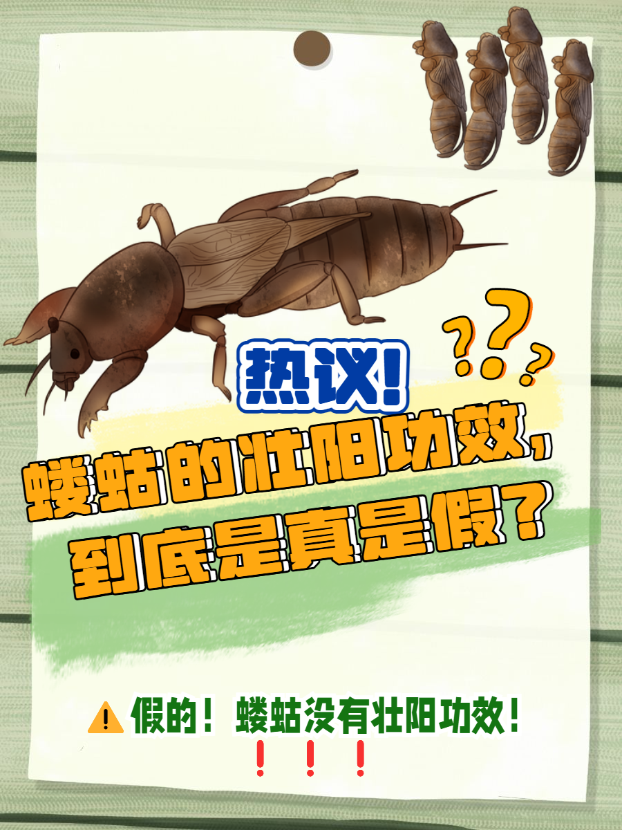 开云-崬?2顓?勨??嚛谏S??W捥惽?t5\?蛄?[9硑詻i魸晀?牀6(鈥滄柊涓紡鈥濇湇瑁呬负鍟彈杩芥崸)